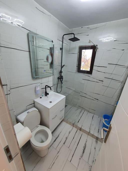 Iasi City - Central Apartment Dış mekan fotoğraf