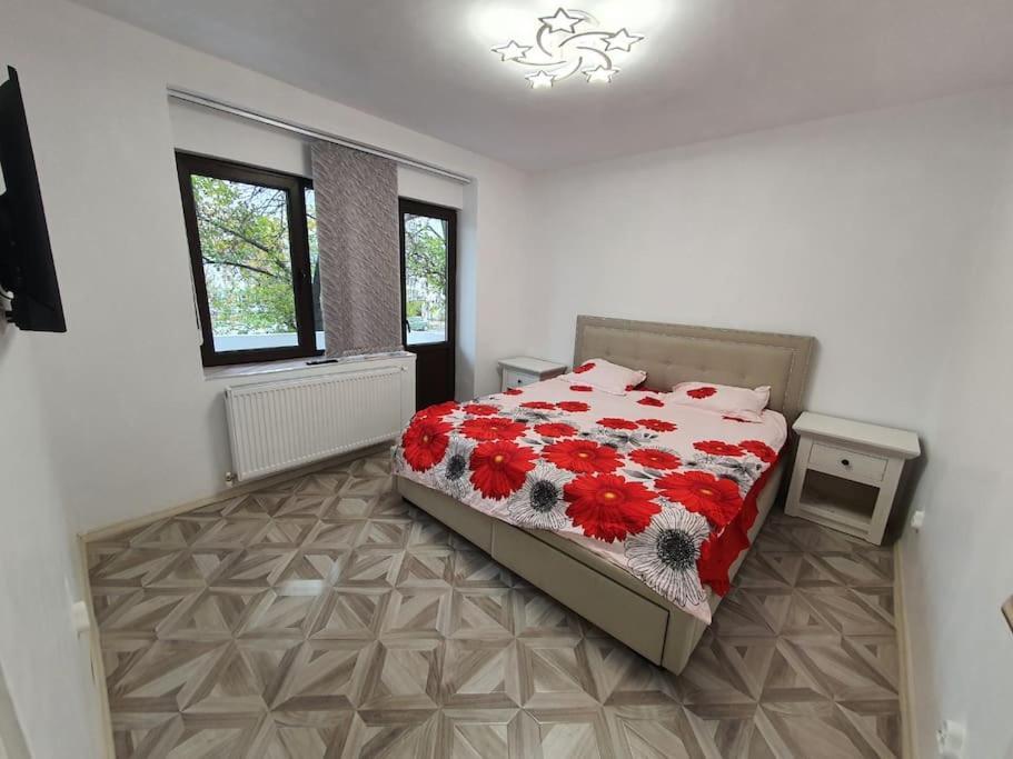 Iasi City - Central Apartment Dış mekan fotoğraf
